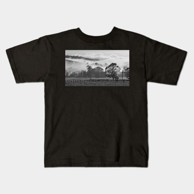 Foggy morning IV Kids T-Shirt by incredi